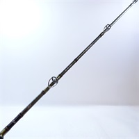 １７リーディング ネライＭＨ－２００